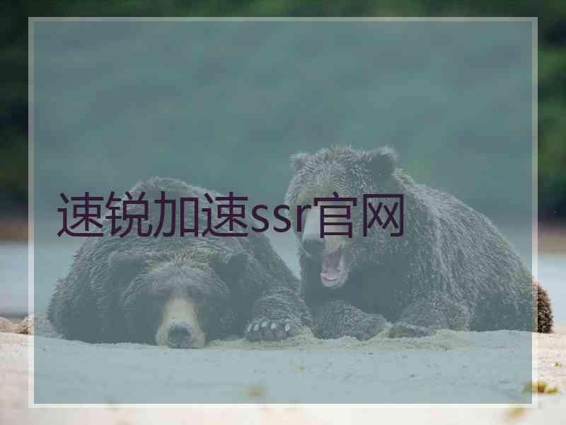 速锐加速ssr官网